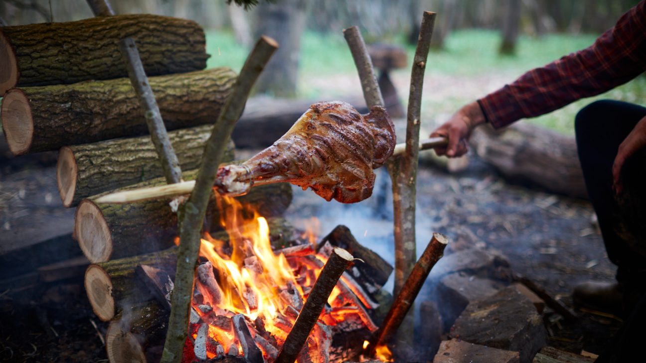 Hunter Gather Cook - Foraging + cooking with fire since 2011