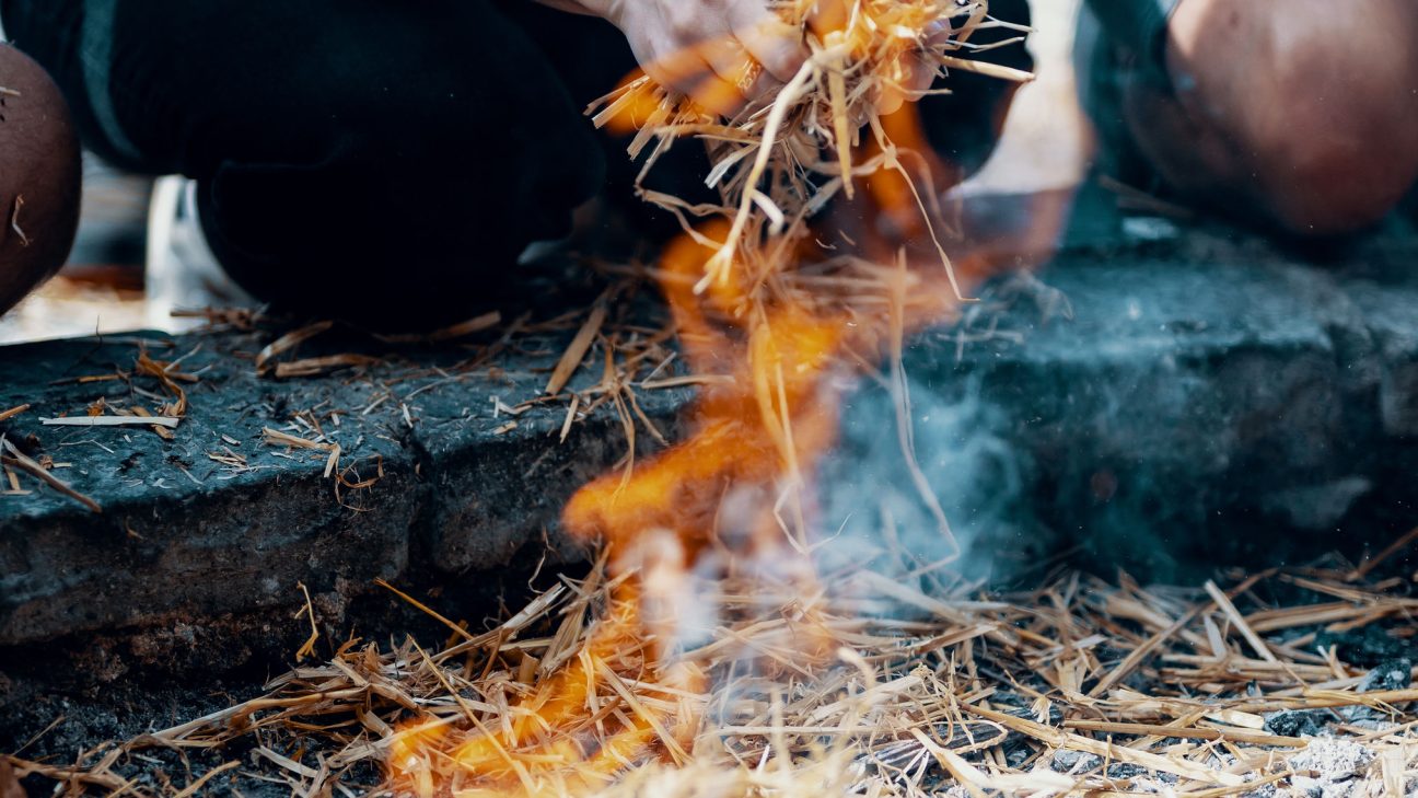 Hunter Gather Cook - Foraging + cooking with fire since 2011