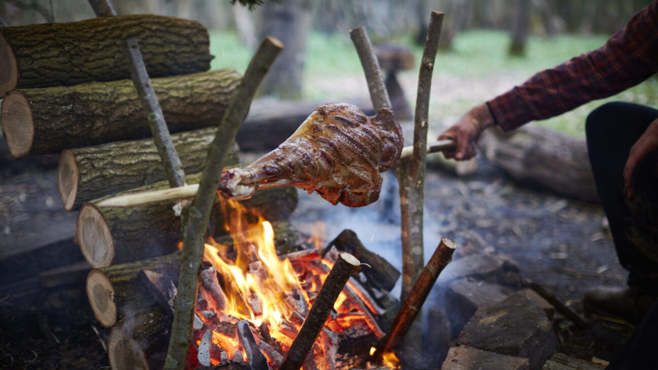 Hunter Gather Cook - Foraging + cooking with fire since 2011