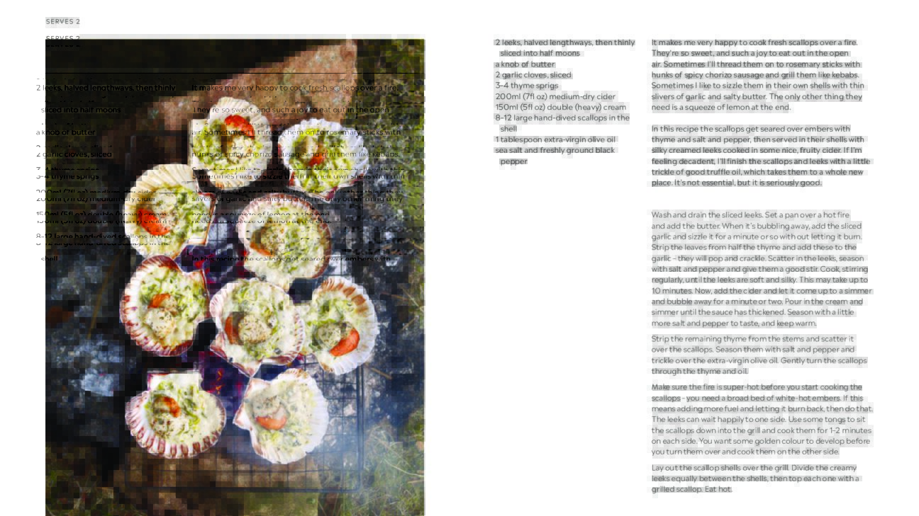 Hunter Gather Cook - Foraging + cooking with fire since 2011