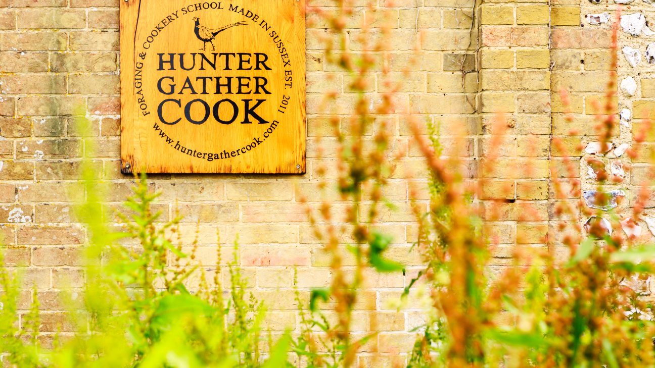 Hunter Gather Cook - Foraging + cooking with fire since 2011