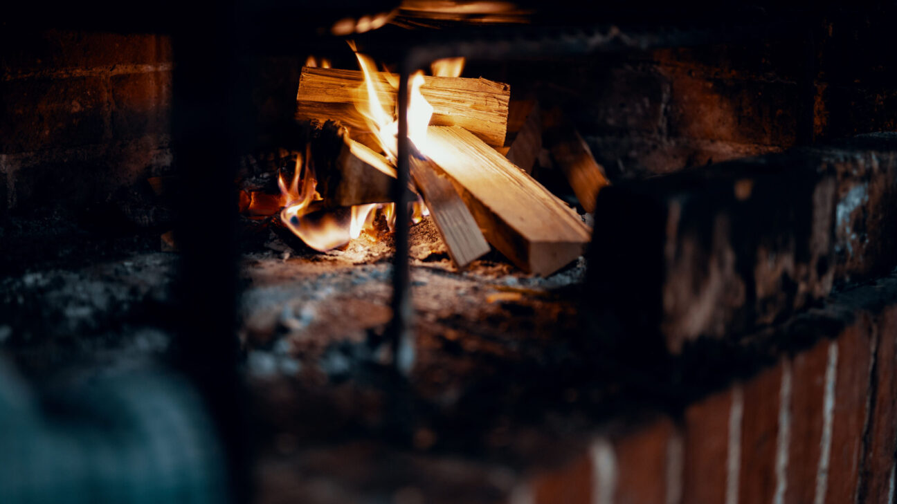 Hunter Gather Cook - Foraging + cooking with fire since 2011